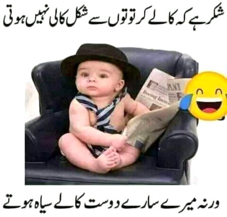 Memes & Satire image