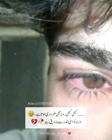 Sad Poetry image