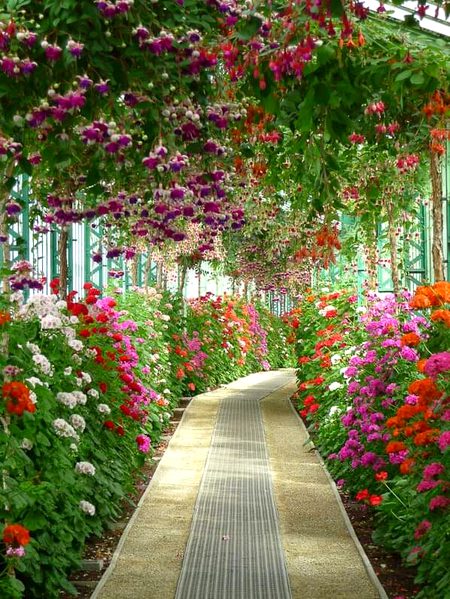 Beautiful Nature image
