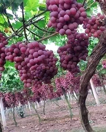 Beautiful Nature image