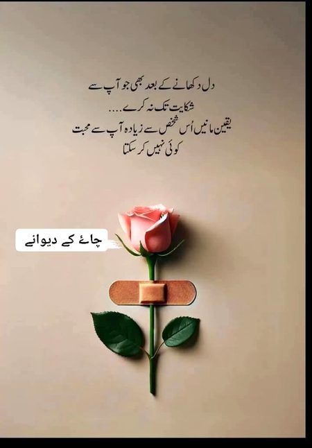 Sad Poetry image