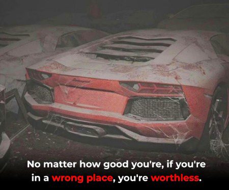Life Advice image