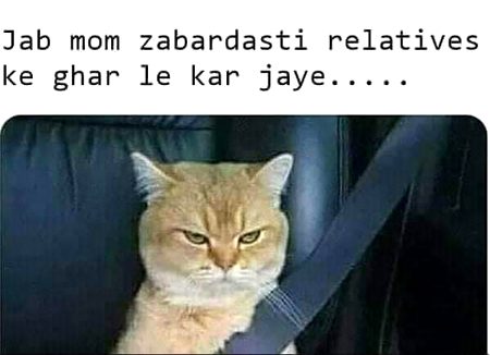 Memes & Satire image