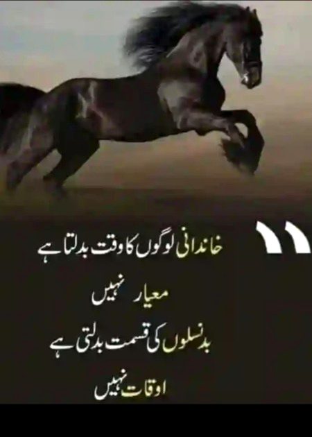 Life Advice image