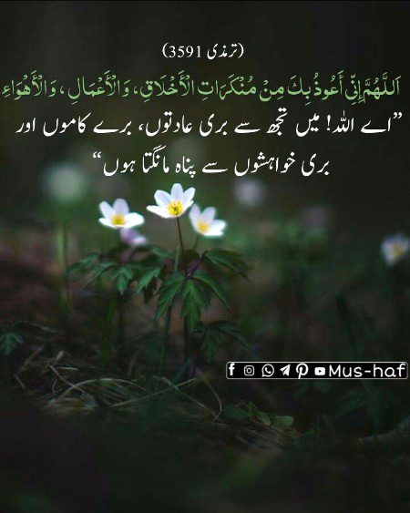 Islamic Quotes image