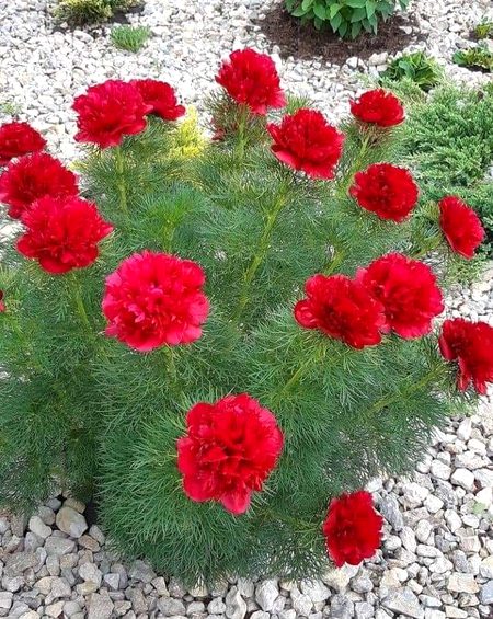 Beautiful Nature image