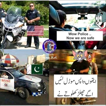 Memes & Satire image