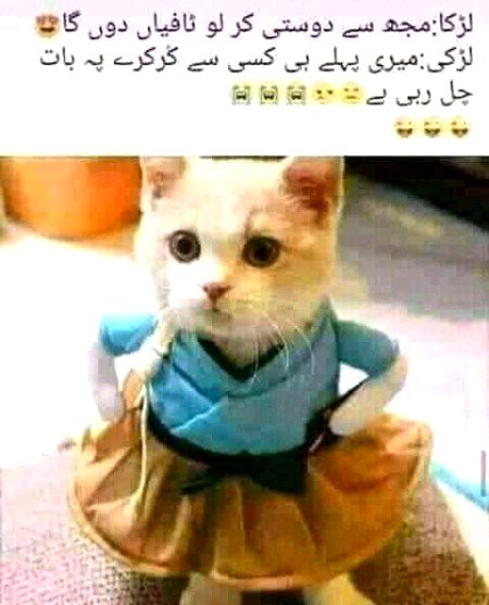 Social media post