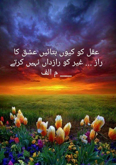 Beautiful Nature image