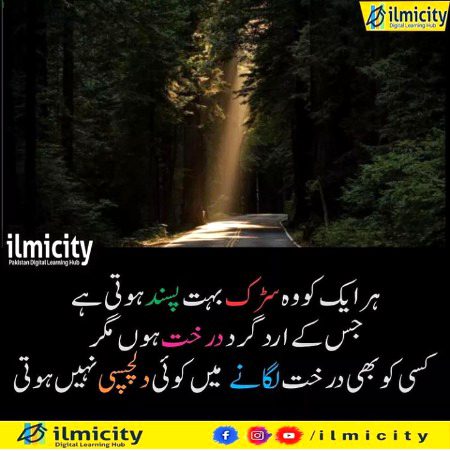 Social media post