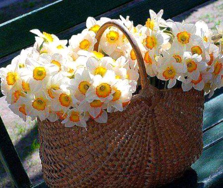 Beautiful Nature image