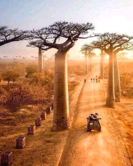 Beautiful Nature image