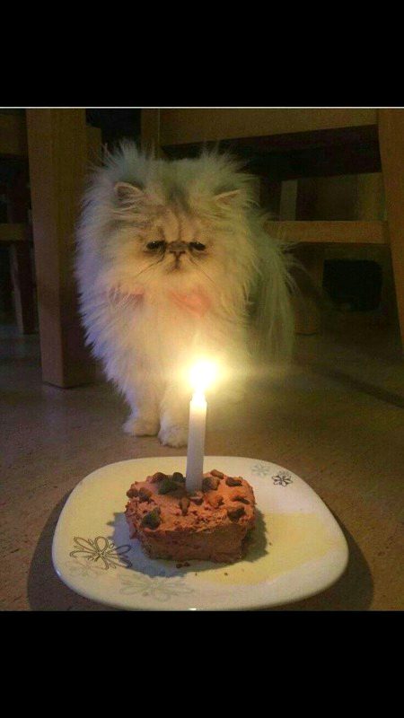 Beautiful Nature image