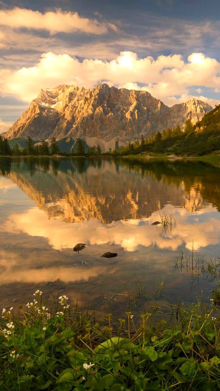 Beautiful Nature image