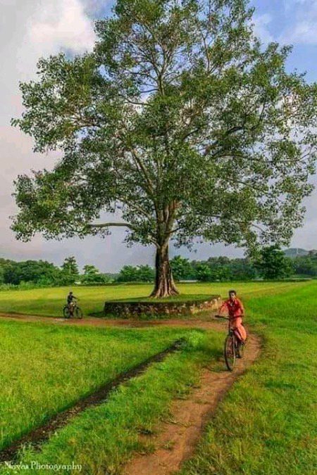 Beautiful Nature image