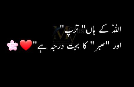 Islamic Quotes image