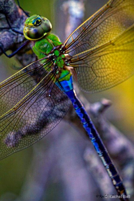 Beautiful Nature image