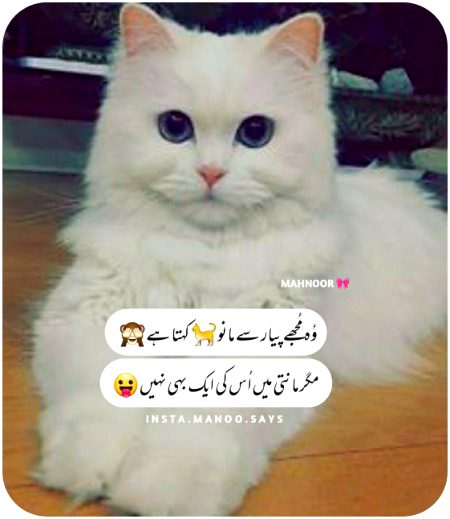 Jokes image