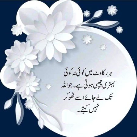 Social media post