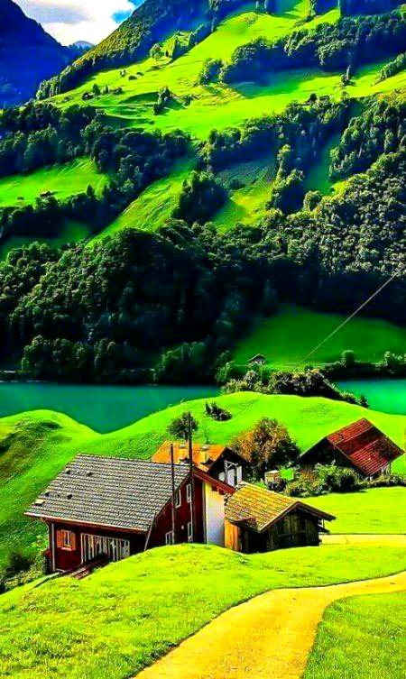 Beautiful Nature image