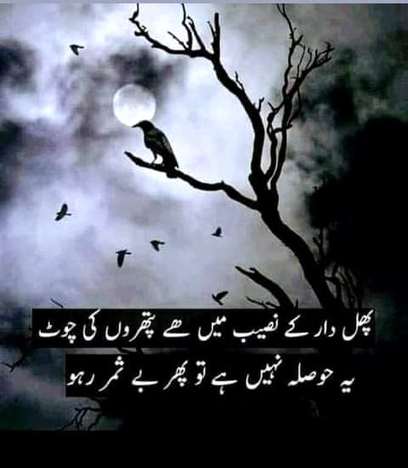 Social media post