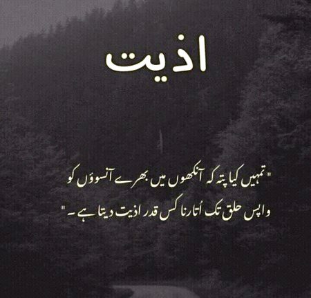 Sad Poetry image
