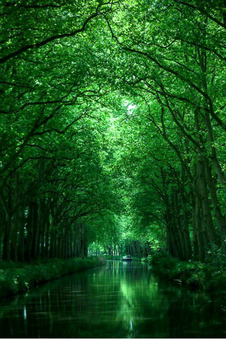 Beautiful Nature image