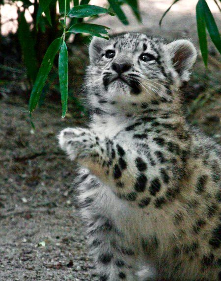 Beautiful Nature image