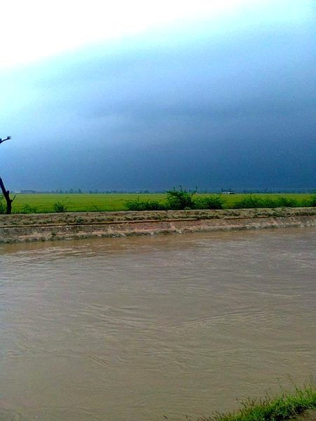 Beautiful Nature image