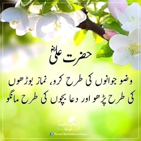 Islamic Quotes image