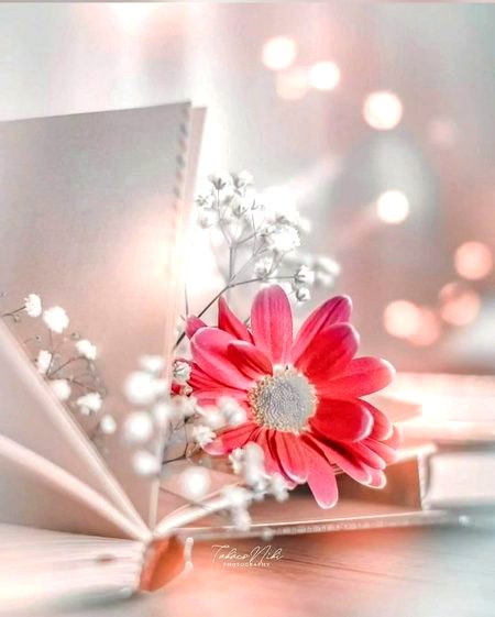 Beautiful Nature image