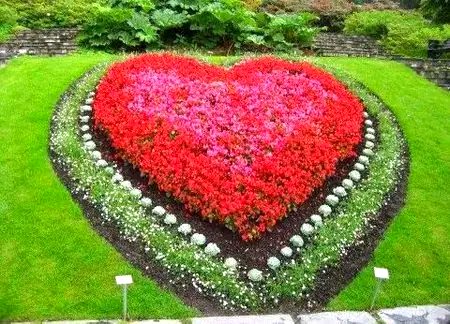 Beautiful Nature image