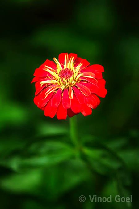 Beautiful Nature image