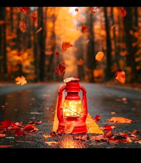 Beautiful Nature image
