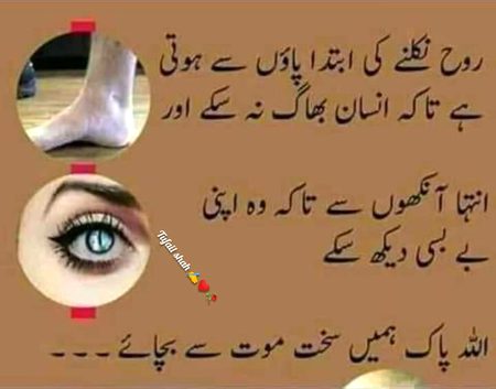 Islamic Quotes image