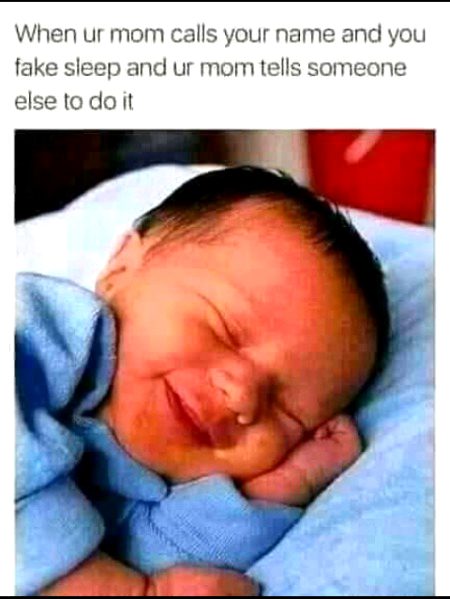 Memes & Satire image