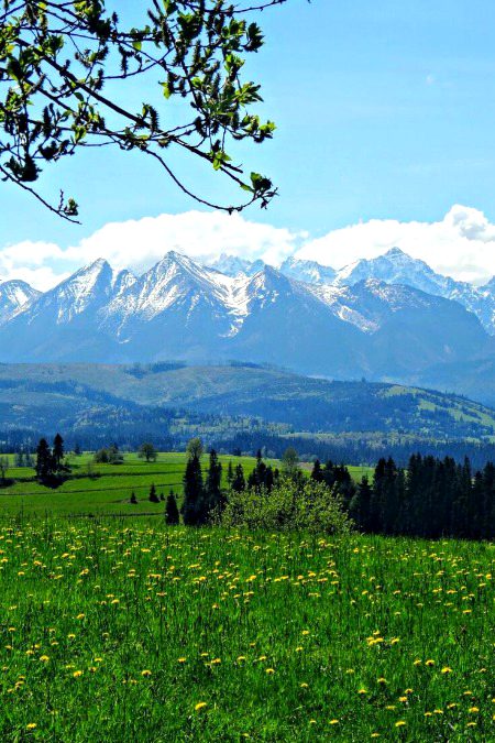 Beautiful Nature image