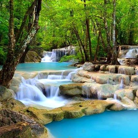 Beautiful Nature image