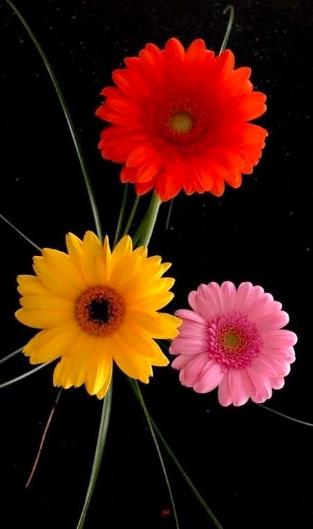 Beautiful Nature image