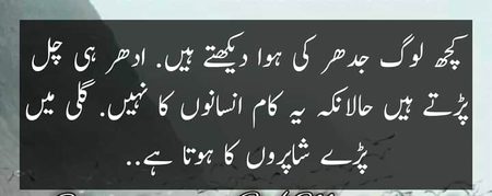 Attitude Quotes image