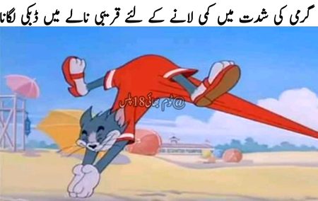 Memes & Satire image