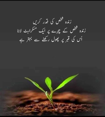 Social media post