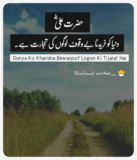 Islamic Quotes image