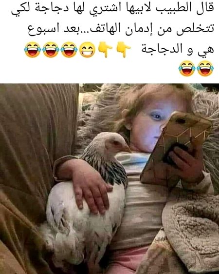 Memes & Satire image