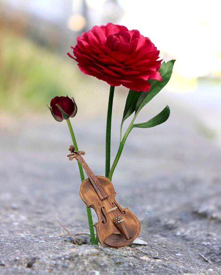 Beautiful Nature image