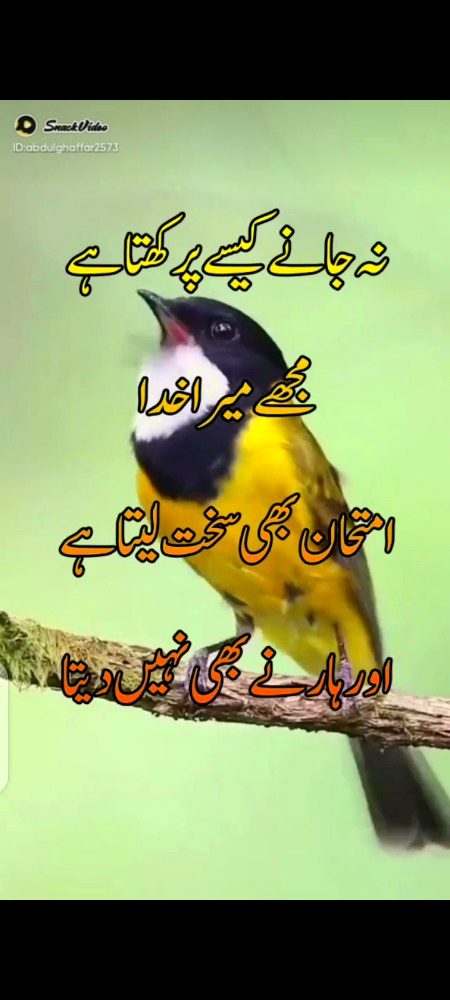 Social media post