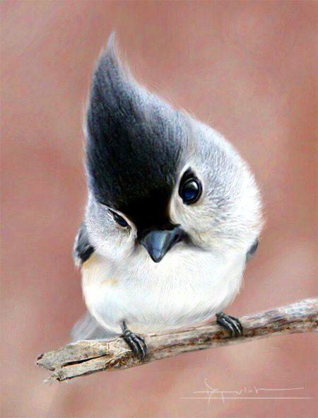 Beautiful Nature image