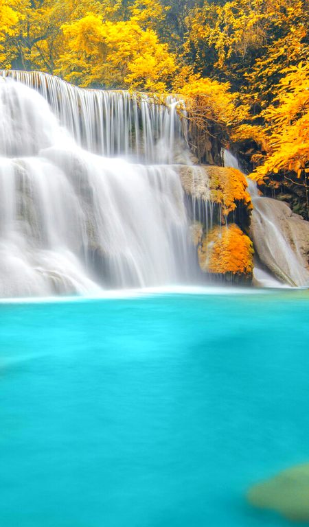 Beautiful Nature image