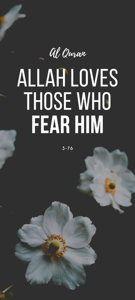 Islamic Quotes image