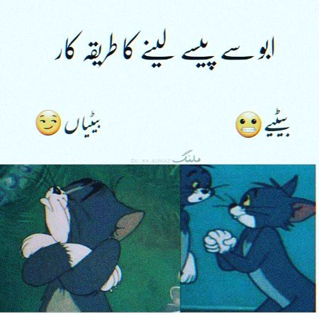 Memes & Satire image